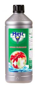 HESI Hydro Floraison 1 L